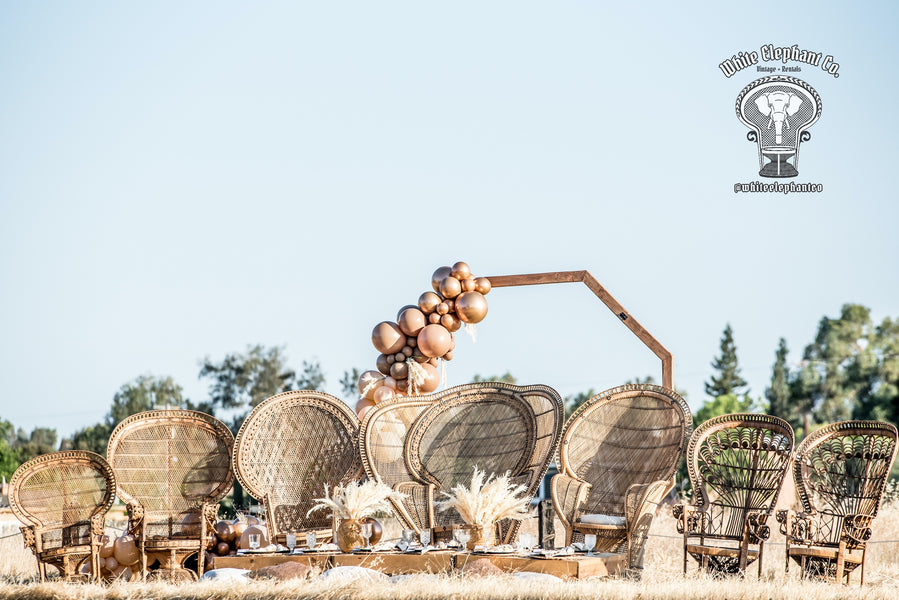 Courtney's Creations & Events x White Elephant Co. Rentals