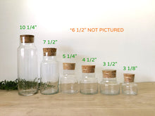 Load image into Gallery viewer, Cylinder Clear Glass Apothecary Jars with Cork Lids - Multiple Selections
