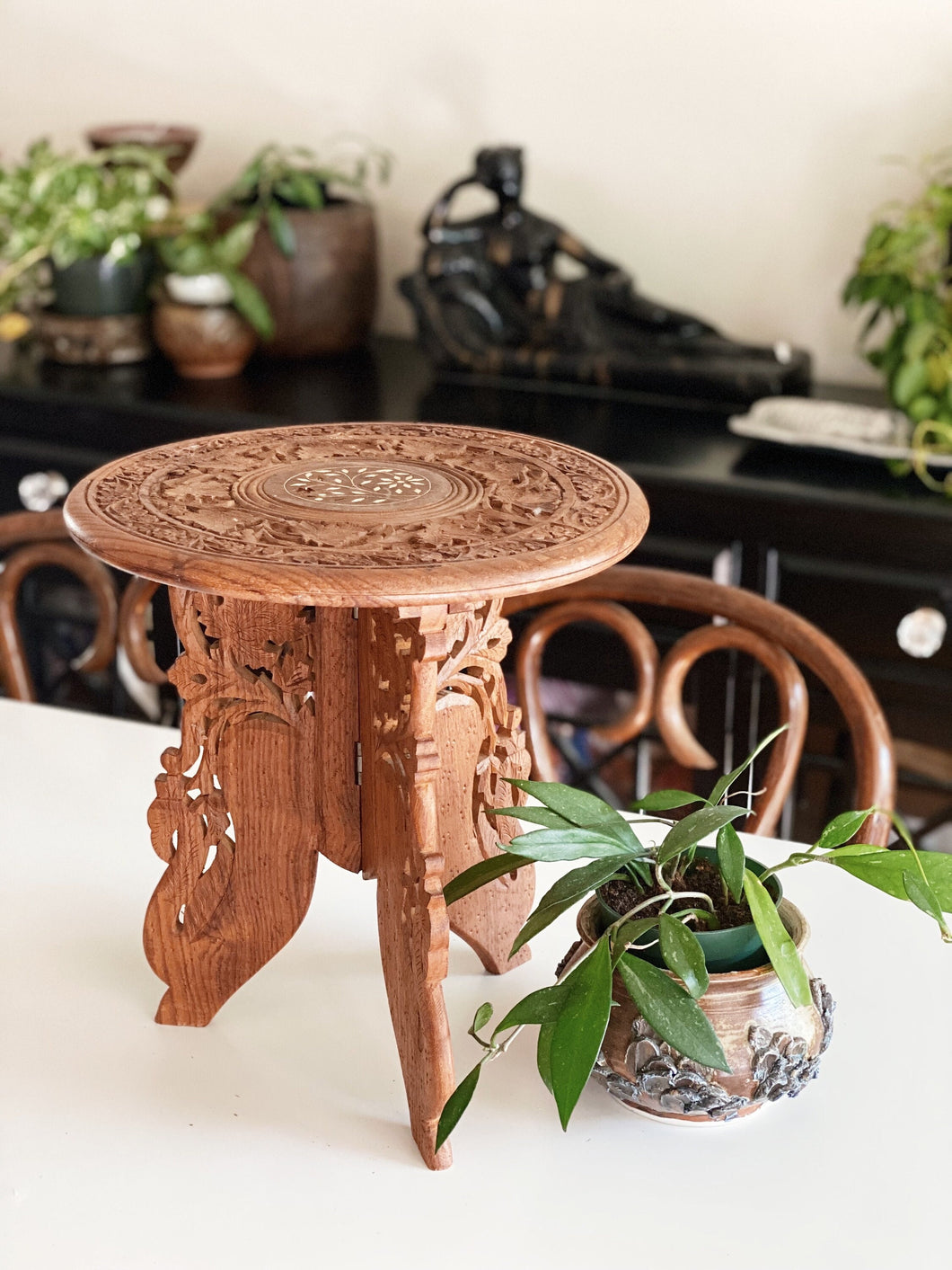 Teak Wood 12