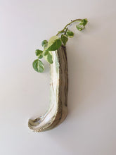 Load image into Gallery viewer, Unique Curved J Shape Ceramic Wall Pocket / Planter / Airplant Holder / Ornament
